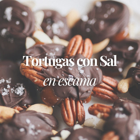Tortugas con Sal en Escama