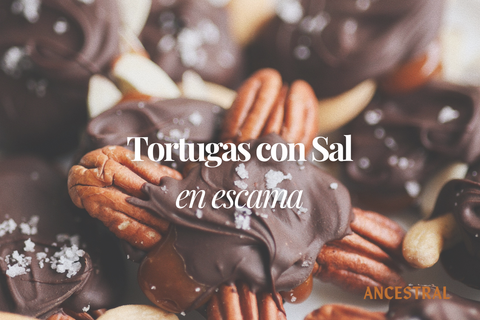 Tortugas con Sal en Escama