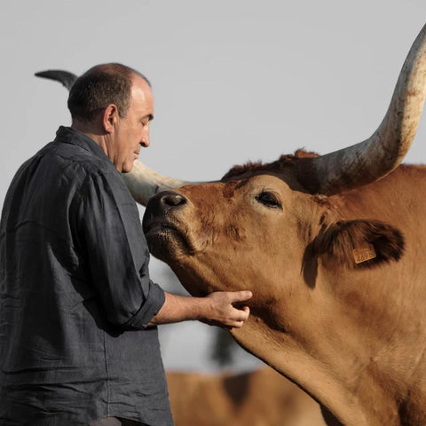 Jose Gordon - BODEGA EL CAPRICHO